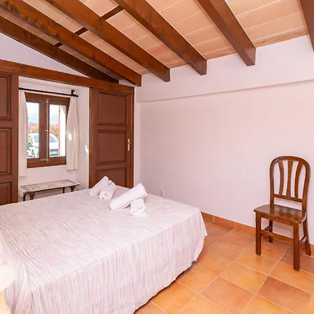 Fiol Petit By Sealand *