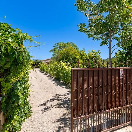 Fiol Petit By Sealand