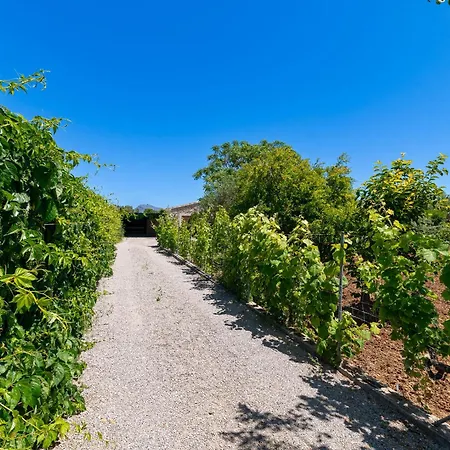 Fiol Petit By Sealand Pollença