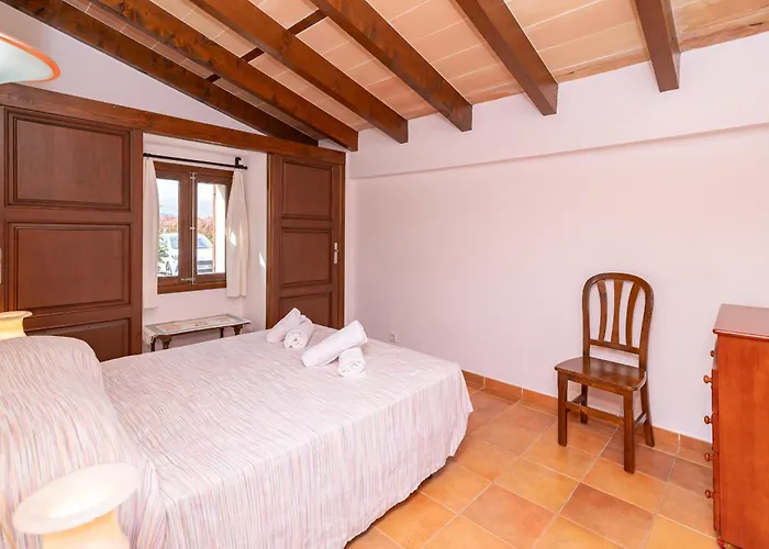 Fiol Petit By Sealand *