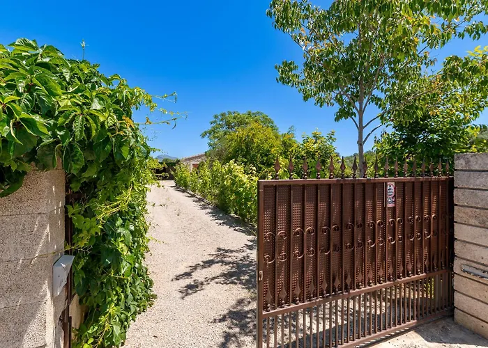 Fiol Petit By Sealand