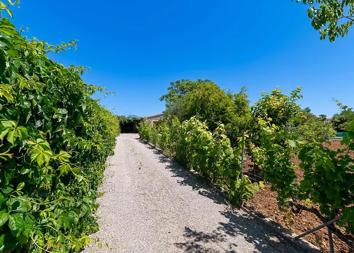 Fiol Petit By Sealand Pollença